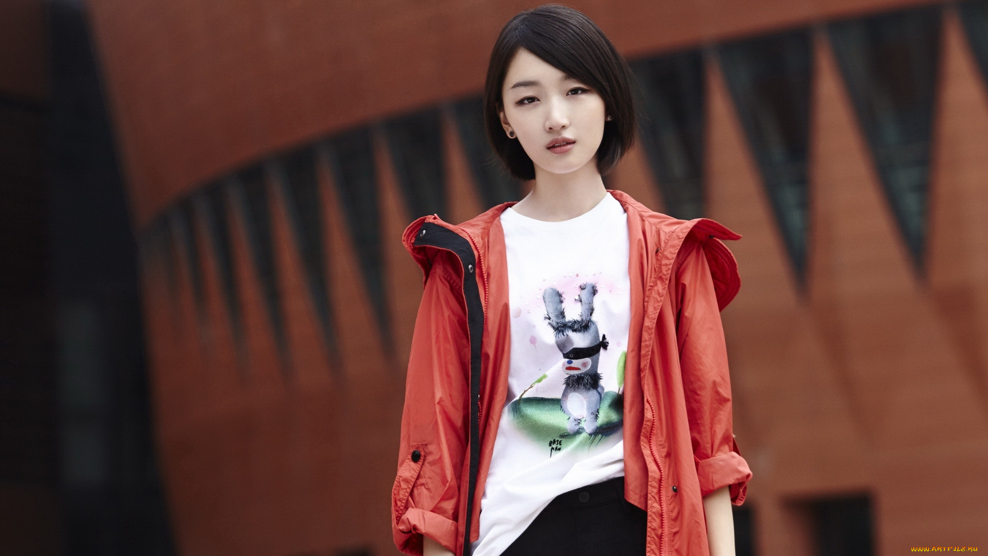 zhou dongyu, , zhou, dongyu